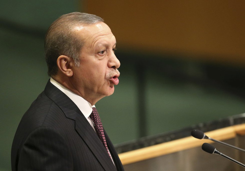 Turecká invaze do Sýrie přinesla stabilitu a mír, řekl Erdogan