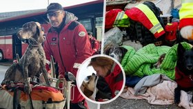 V Turecku pomáhá hledat přeživší i spousta záchranářských psů.
