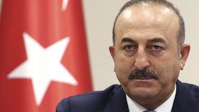 Ministr Mevlüt Çavusoglu: Ankara si přeje, aby příměří v Sýrii platilo už od ledna.