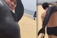 Turista na pláži ukradl delfína: Sprostého zloděje hledá policie!