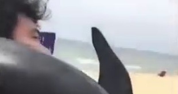 Turista na pláži v Číně ukradl delfína