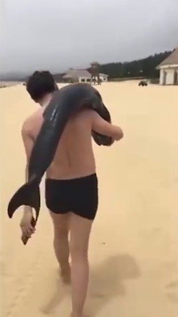 Turista na pláži v Číně ukradl delfína