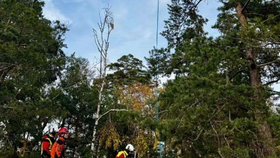 Záchrana turisty, který se u Jetřichovic zřítil ze skalní vyhlídky a zranil se.