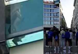 Šokovaní turisté nevěřili svým očím: Dvojice měla sex v proskleném bazénu!