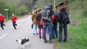 V Modřanské rokli radnice znovuotevřela turistickou naučnou stezku.