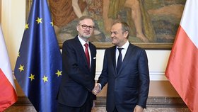 Polský premiér Donuld Tusk dorazil na jednání s Petrem Fialou (ODS) (27.2.2024)