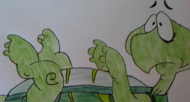 Kresba želvy