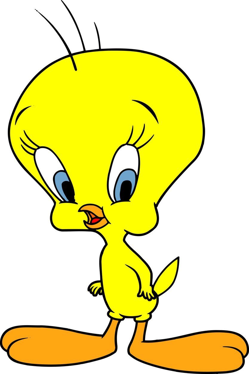 Kanárek Tweety