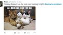 Belgičané na výzvu policie nezveřejňovat podrobnosti o operaci zareagovali s humorem: Twitter zaplnili snímky a videa koček