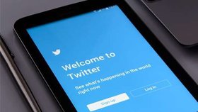 Twitter začne ukazovat nad příspěvky informační box o dostupných vakcínách proti nemoci, přičemž zobrazené informace mají být regionálního charakteru a pocházet z důvěryhodných zdrojů.