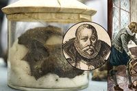 Astronom Brahe umíral dlouho a v bolestech: Nezabila ho zdvořilost, ale prostata?