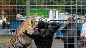 Jaromír Joo vlastní rekord nepřekonal. O drama však nebyla v tygřím výběhu nouze.