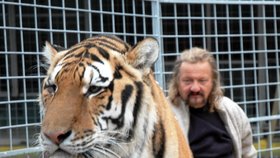 Tygr Borneo nechtěně škrábnul svého páníčka.
