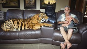 Tygr se stal nedílnou součástí rodiny. Má dokonce i své vlastní místečko na gauči.