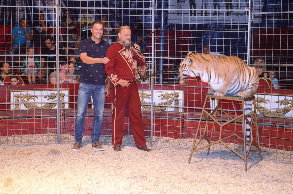 Na začátku září by mělo být jasno, jestli začne větší kampaň za zákaz divokých zvířat v cirkusech.