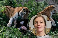 Tvář šelmou rozsápané Naděždy: Toto je ošetřovatelka, kterou v zoo potrhal tygr