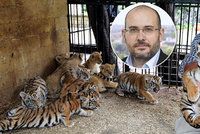 Kauza tygřích jatek: Už rok jsem měl podezření, říká ředitel pražské zoo Miroslav Bobek