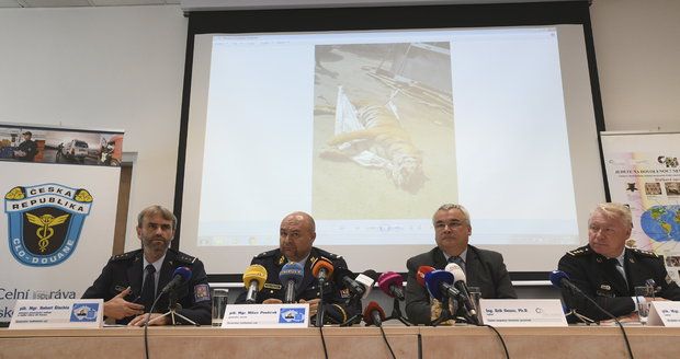 Tisková konference k nelegálnímu obchodování s tygry, které odhalila policie s celní správou.