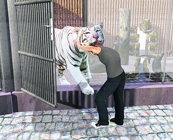 Tygr táhl ošetřovatele za hlavu