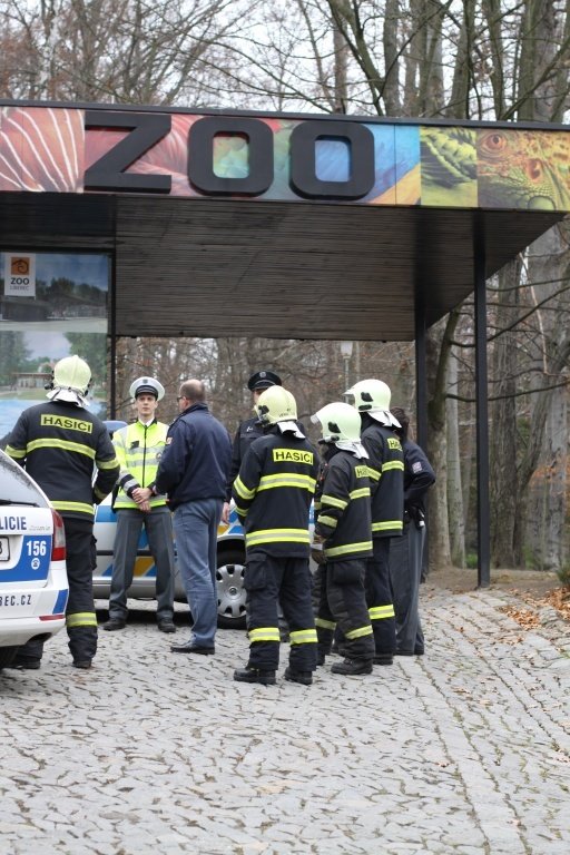 Pracovníci zoo mezitím museli dostat do bezpečí zvířata, která se pohybovala ve výbězích.