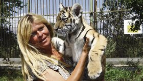 I tygří kotě se pronese, váží přes dvacet kilo
