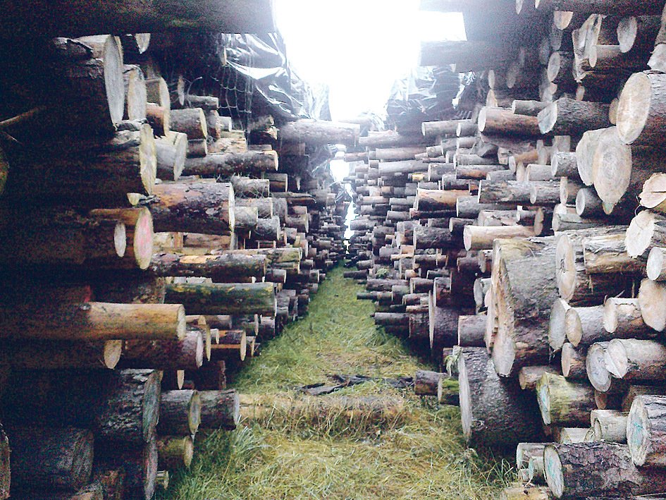 Na staveništi je složeno ohromné množství dřeva