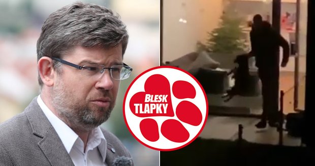 Mladík na videu brutálně týral psa: Zvíře je na tom hodně špatně, popsal Pospíšil