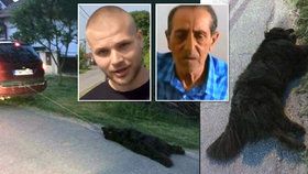 Důchodce za autem usmýkal psa k smrti: Svědek ho za to prý brutálně zbil.