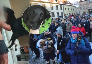 200 pejskařů šlo k bytu Jakuba L.: Chceme přísnější tresty pro tyrany.