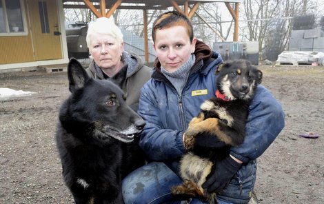 Psi se zotavují v útulku v Němčicích na Rokycansku. Starají se o ně Květa Spalová (vlevo) a Ilona Grünwaldová.