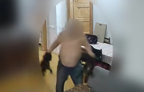 Tyran terorizoval celou domácnost: Šílené video zachycuje, jak do psů bušil pěstmi a házel s nimi o zem
