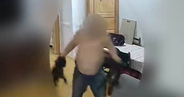 Tyran terorizoval celou domácnost: Šílené video zachycuje, jak do psů bušil pěstmi a házel s nimi o zem