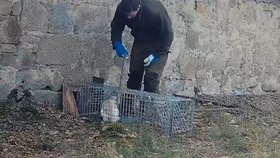 Správce chladnokrevně vraždí bezmocná zvířata v kleci.