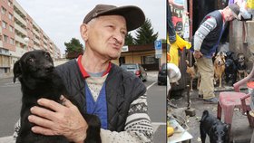 Václav Hrbáček tvrdí, že by své psy nikdy netýral.