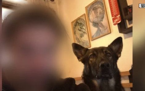 Muž (28) v Hoješíně na Chrudimsku ubodal svého psa.