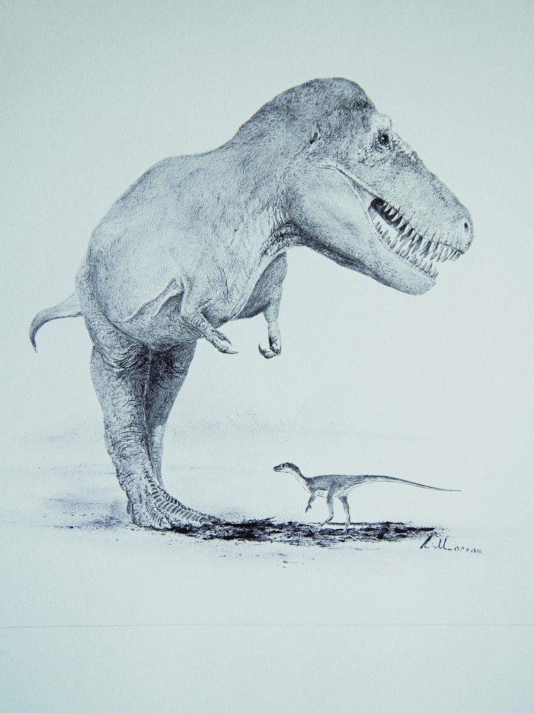 Nejstarší známí předkové tyrannosaurů byli menší než dospělý člověk