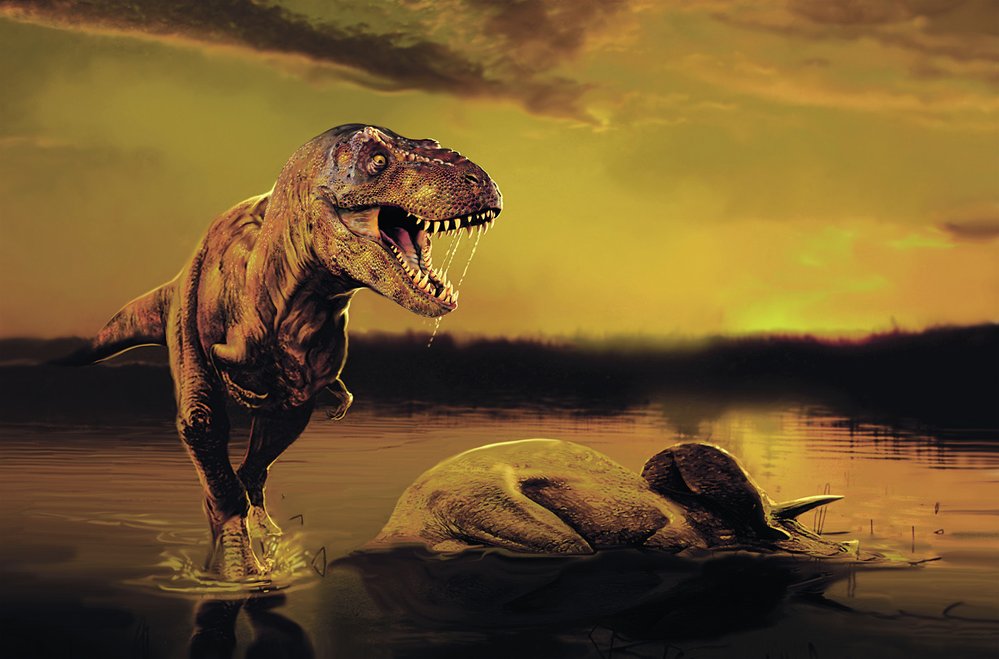 Tyrannosauři patřili k největším po dvou se pohybujícím živočichům v dějinách života na Zemi