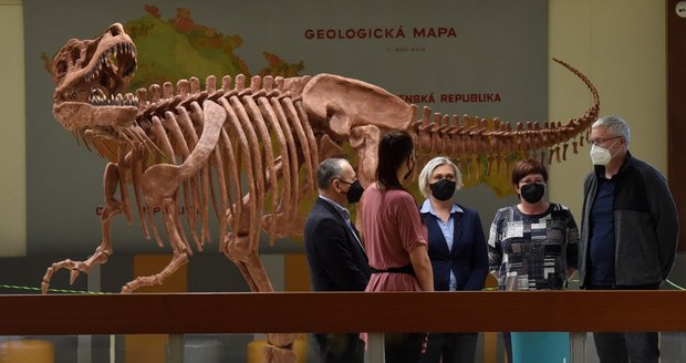 V Geologickém pavilonu profesora Pošepného v areálu Vysoké školy báňské - Technické univerzity Ostrava (VŠB-TUO) odhalili model kostry tyranosaura rexe.