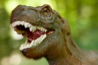 Neuvěřitelné zjištění: Víme, jak a k čemu tyranosaurus rex používal přední tlapy!
