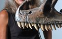 Mary Schweitzerová na výzkumu měkkých tkání dinosaurů pracuje přes 15 let