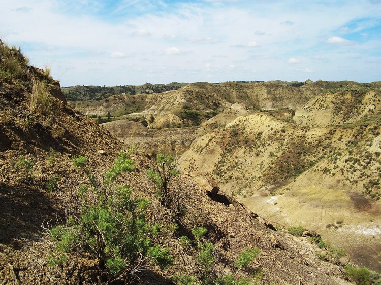 Hell Creek State Park, oblast Badlands ve východní Montaně, kde byl objeven také exemplář MOR 1125