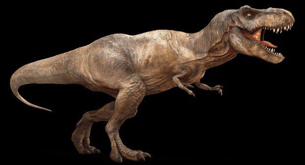 Nový objev: Tyranosaurus rex nemohl běhat!
