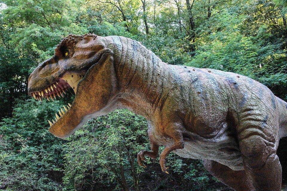 Tyranosaurus rex neběhal, ale hodně rychle chodil