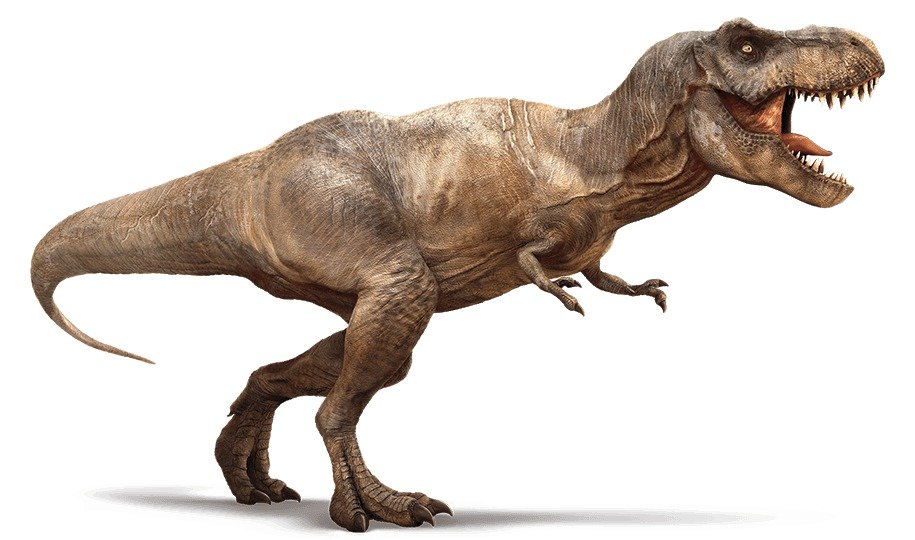 Tyranosaurus rex neběhal, ale hodně rychle chodil