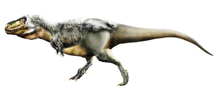 Moderní rekonstrukce částečně opeřeného tyranosaura