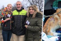 Pejska Hera někdo týral a polil kyselinou, úřady nepomohly: První slova statečných zachránkyň