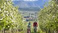 Na kole k jihotyrolským vinařům
