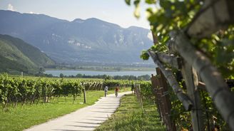 Vína z bunkru nebo od vinařky: Objeďte na kole jihotyrolské vinaře