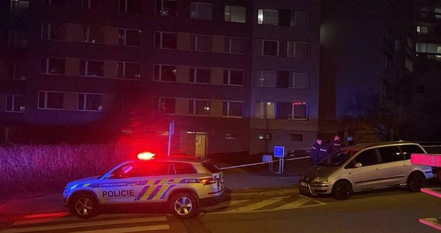 Kriminalisté se zabývají tragickou událostí, k níž došlo v pražských Stodůlkách. Muž vypadl z okna 9. patra a nepřežil. (31. prosinec 2023)