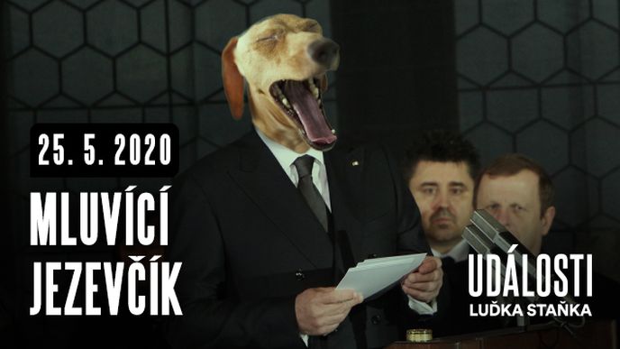 Události Luďka Staňka: Mluvící jezevčík